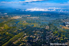 仅次于恒立液压（50.46