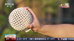 基因库还面向国际社会共